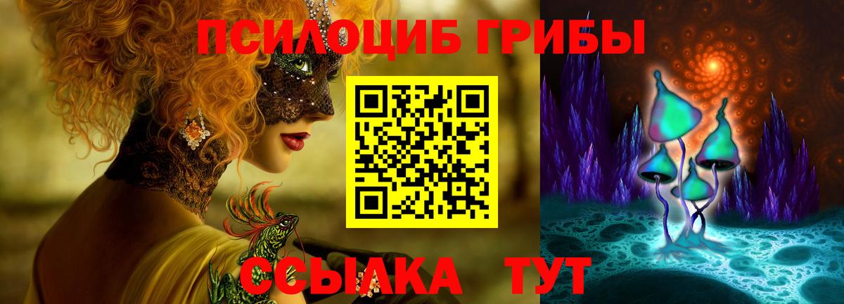 Псилоцибиновые грибы Cubensis  Псилоцибиновые грибы MAGIC MUSHROOMS  Вязьма  Вход с VPN 